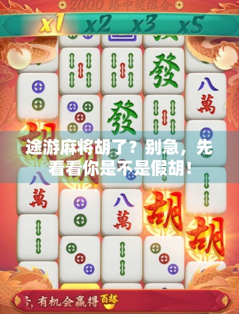 途游麻将胡了？别急，先看看你是不是假胡！